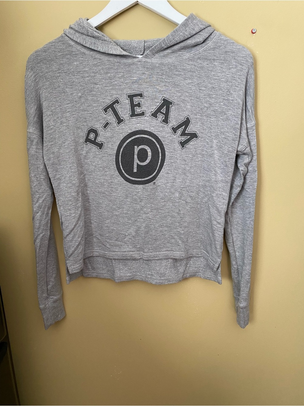 Pure Barre Women's Gray Crop Hooded Pullover, Size Small
